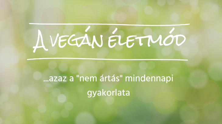 vegan eletmod